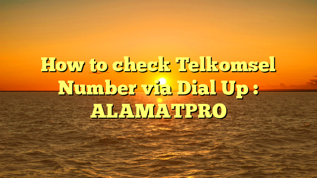 how-to-check-telkomsel-number-via-dial-up-alamatpro-articlepeak